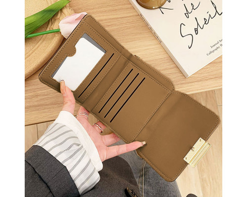 Жіночий гаманець Eastern STAR C319-2B 11,5х9,5 см Brown 13196-84708