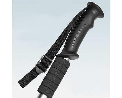 Палиця трекінгова Aolikes A-3401 для скандинавської ходьби Черный (12515-76209)