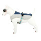 Шлей для собак TUFF HOUND TH00205 Синій M літня дихаюча (5705-16455)