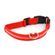 Світлодіодний LED нашийник Lesko Red L USB