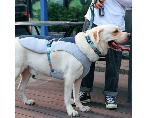 Шлей для собак TUFF HOUND TH00205 Синій M літня дихаюча (5705-16455) Шлей для собак TUFF HOUND TH00205 Синій M літня дихаюча (5705-16455)