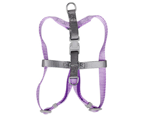 Шлей для собак або кішок з повідцем Taotaopets 171120 M 1.5 cm 1150 мм Фіолетовий (10460-55533) Шлей для собак або кішок з повідцем Taotaopets 171120 M 1.5 cm 1150 мм Фіолетовий (10460-55533)