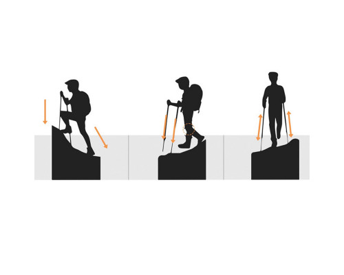Палиця трекінгова Aolikes A-3401 для скандинавської ходьби Черный (12515-76209)