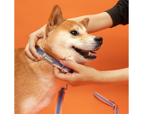 Нашийник зашморг для собак TUFF HOUND TC00106 Синьо-рожевий L з повідцем (5315-16398) Нашийник зашморг для собак TUFF HOUND TC00106 Синьо-рожевий L з повідцем (5315-16398)