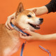 Нашийник зашморг для собак TUFF HOUND TC00106 Синьо-рожевий L з повідцем (5315-16398)