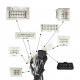 Фішка Feeldo Lexus LS XF30 2000-2006 Toyota Celsior F30 2000-2006 CAN-BUS (7497)