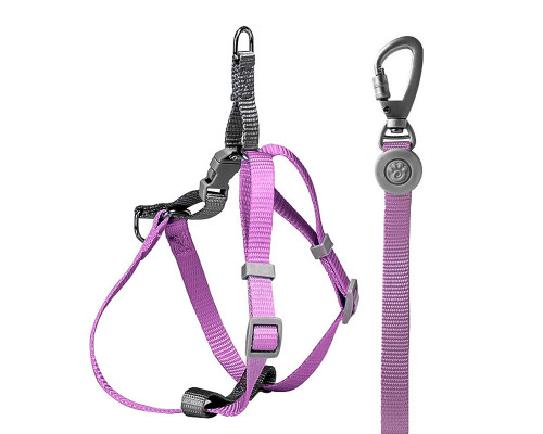 Шлей для собак або кішок з повідцем Taotaopets 171120 M 1.5 cm 1150 мм Фіолетовий (10460-55533) Шлей для собак або кішок з повідцем Taotaopets 171120 M 1.5 cm 1150 мм Фіолетовий (10460-55533)