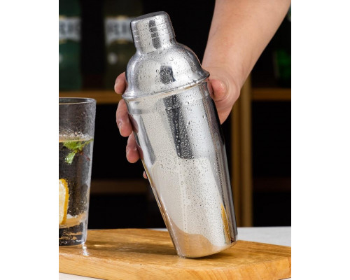 Набір для бару BAR для приготування коктейлів з дерев'яною підставкою 750 мл 10 предметів Сріблястий (C051210)