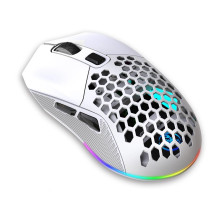 Миша бездротова HXSJ Т28 з акумулятором та RGB підсвічуванням 2,4G+Bluetooth White