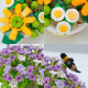 3D конструктор набір Loz 1674 Букети квітів у горщику 543 деталей